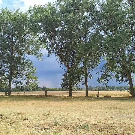 Alte Schule Qualzow Daire