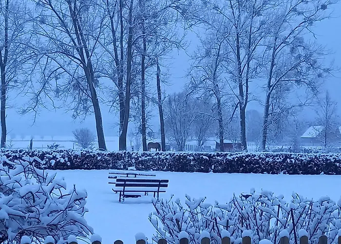 Alte Schule Qualzow Διαμέρισμα *